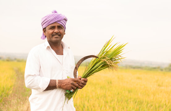 Mr. Brijesh